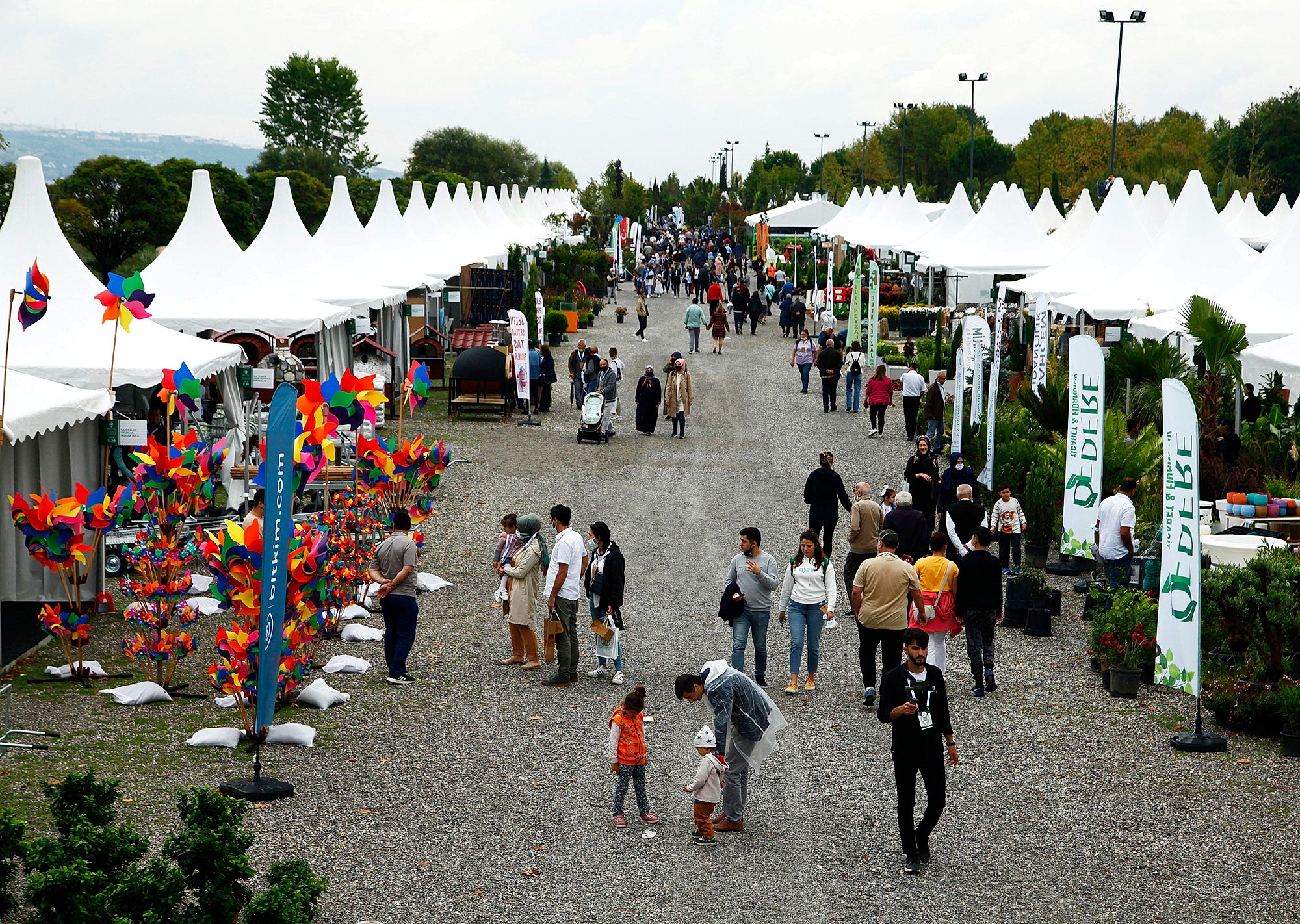 süs bitkileri ve bahçe sanatları ekipmanları